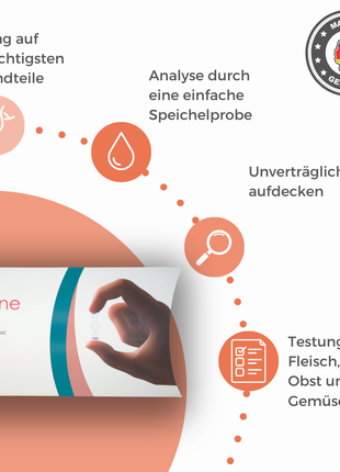 Allergietest Hund