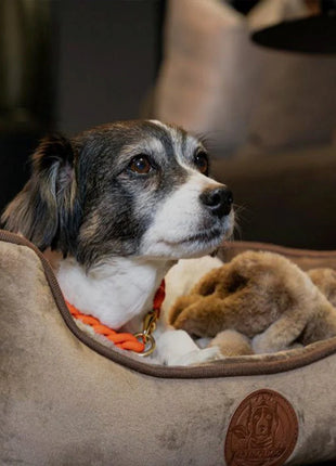 Hundebett Henri