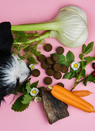 Tierliebhaber Super Bundle Grasfresser Chill out Z-Snack Haut und Fell