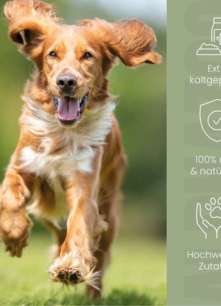 Hanföl für Hunde