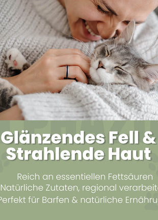 Hanföl für Katzen