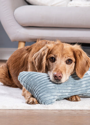 Kissen KUSCHELKNOCHEN Cord