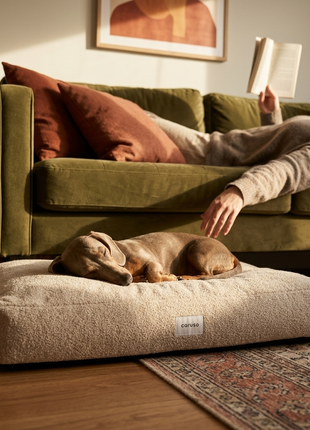 Hundebett Teddy
