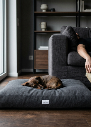 Hundebett Clean