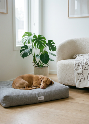Hundebett Clean