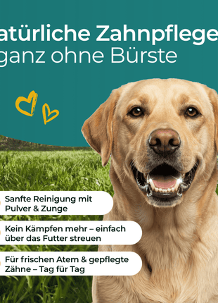 Hundpur® Zähne & Atem