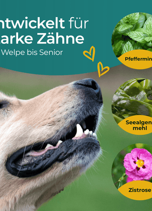 Hundpur® Zähne & Atem