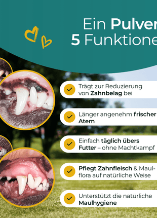 Hundpur® Zähne & Atem