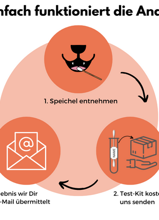 DNA Hunderassenbestimmung