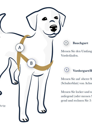 Vorderführgeschirr STURMFREI® Saver (16 mm) – höhenverstellbar aus BioThane® - Extra-Sicherung