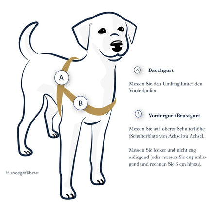 Anti-Stress-Geschirr STURMFREI® Saver für mittlere und große Hunde