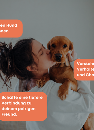 DNA Hunderassenbestimmung