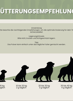 Bierhefe Pulver für Hunde