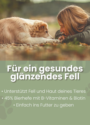 Bierhefe Tabletten für Hunde