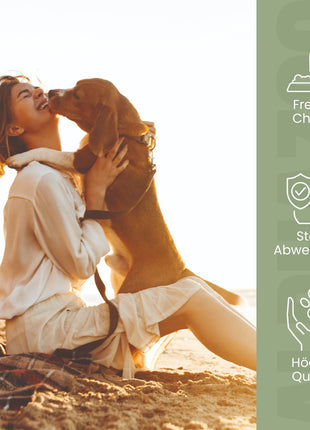 Bierhefe Tabletten für Hunde