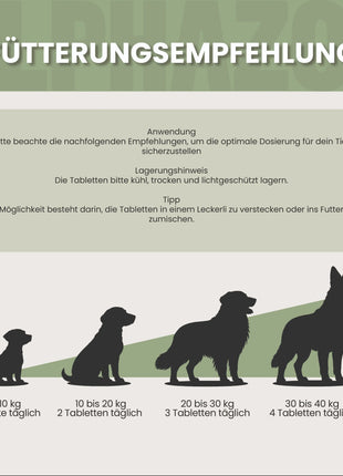 Bierhefe Tabletten für Hunde