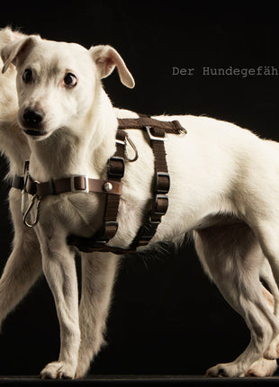 Anti-stress harness STURMFREI® Saver for very small dogs