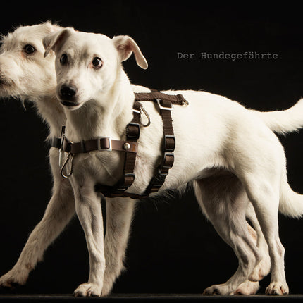 Anti-Stress-Geschirr STURMFREI® Saver für sehr kleine Hunde