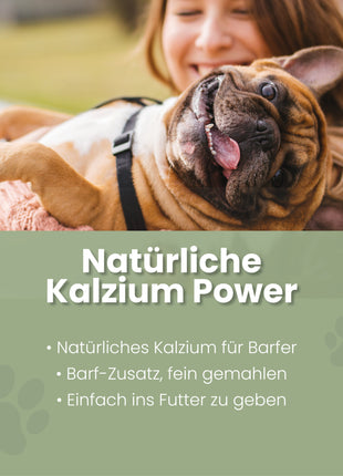 Eierschalenpulver für Hunde
