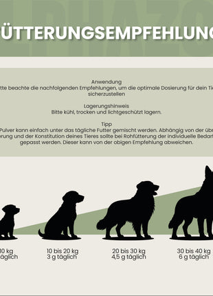 Eierschalenpulver für Hunde