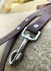 Brown / BioThane® / 25 mm