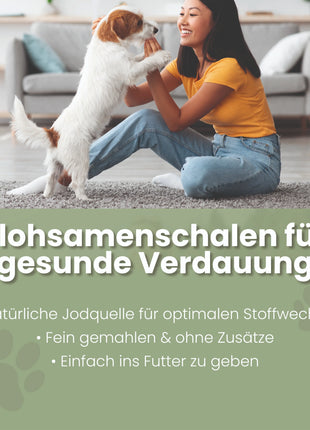 Flohsamenschalen gemahlen für Hunde