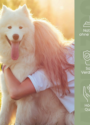 Flohsamenschalen gemahlen für Hunde