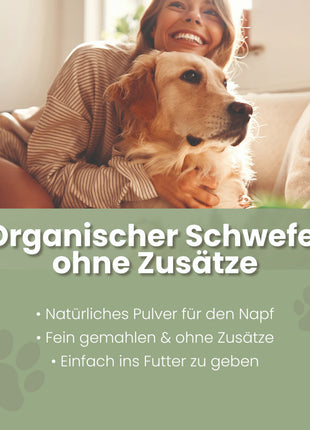 MSM Pulver für Hunde