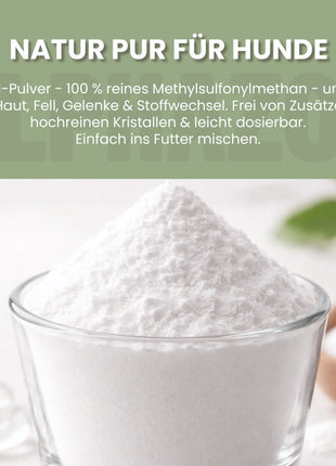MSM Pulver für Hunde