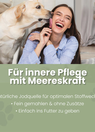 Seealgenmehl