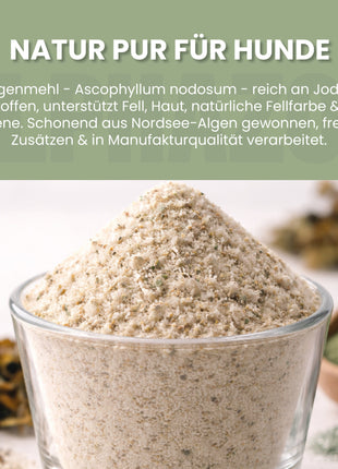 Seealgenmehl