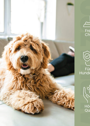 Seelenruhe Tabletten für Hunde
