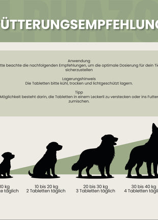 Seelenruhe Tabletten für Hunde