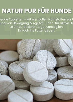 Spielfreude Tabletten
