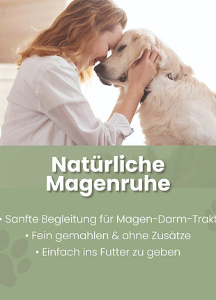 Ulmenrinde Pulver für Hunde