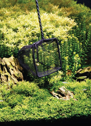 OASE Fischnetz 8 cm