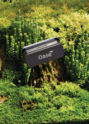 OASE Magnet-Scheibenreiniger 10 mm