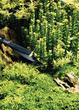 OASE Pflanzen-Schere Aquascaping