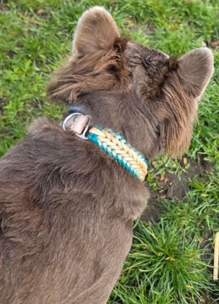 Handgemachtes Paracord-Hundehalsband "Seagrass"