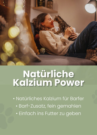 Eierschalenpulver für Katzen