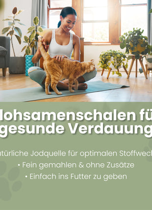 Flohsamenschalen für Katzen