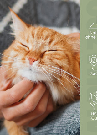 Grünlippmuschel-Pulver für Katzen