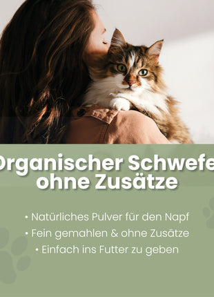 MSM Pulver für Katzen