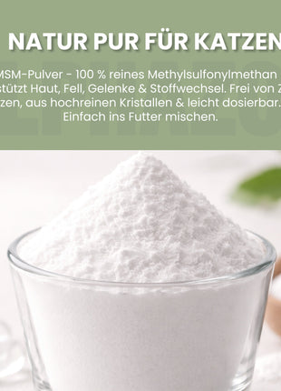 MSM Pulver für Katzen