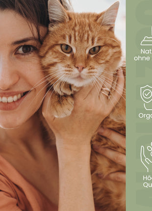 MSM Pulver für Katzen
