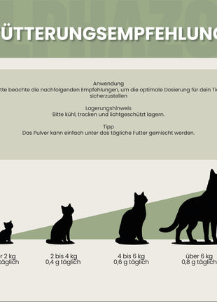 MSM Pulver für Katzen