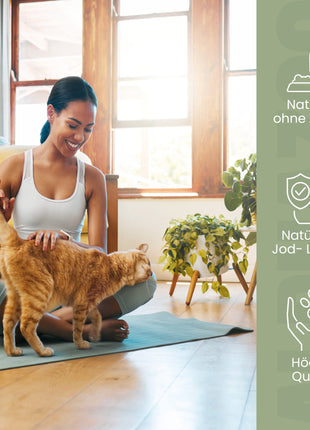 Seealgenmehl für Katzen
