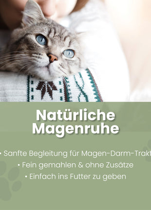Ulmenrinde Pulver für Katzen