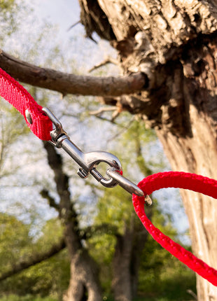 Double leash TECHTELMECHTEL made of BioThane®/Pop - Band