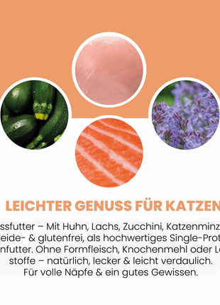 Lachs + Huhn Nassfutter für Katze